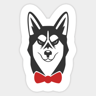 Mad tie Husky Sticker